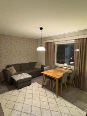 Arctic central home Rovaniemi